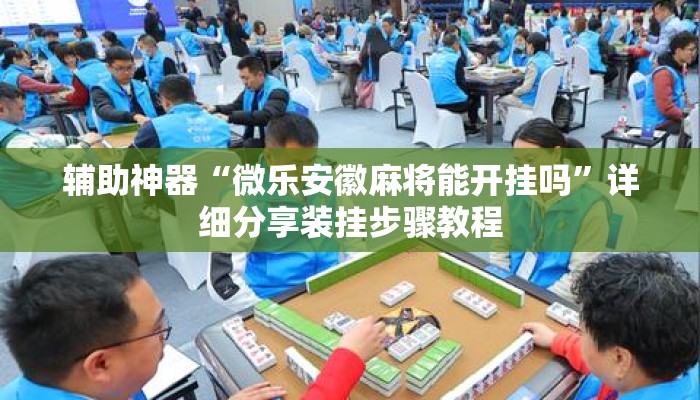 辅助神器“微乐安徽麻将能开挂吗”详细分享装挂步骤教程