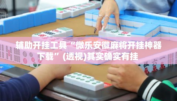 辅助开挂工具“微乐安徽麻将开挂神器下载	”(透视)其实确实有挂 