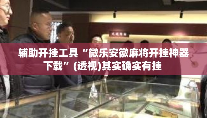 辅助开挂工具“微乐安徽麻将开挂神器下载”(透视)其实确实有挂 