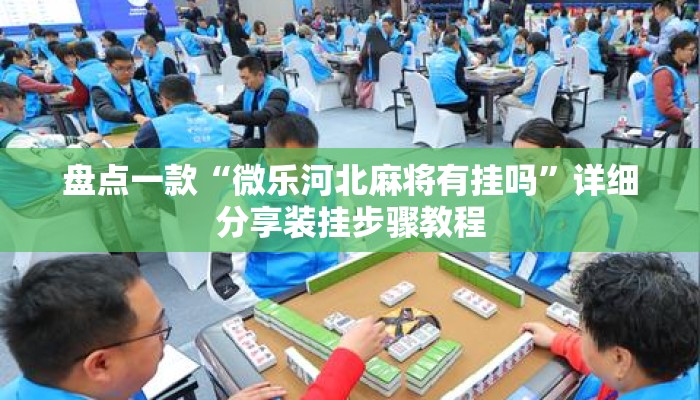 盘点一款“微乐河北麻将有挂吗”详细分享装挂步骤教程