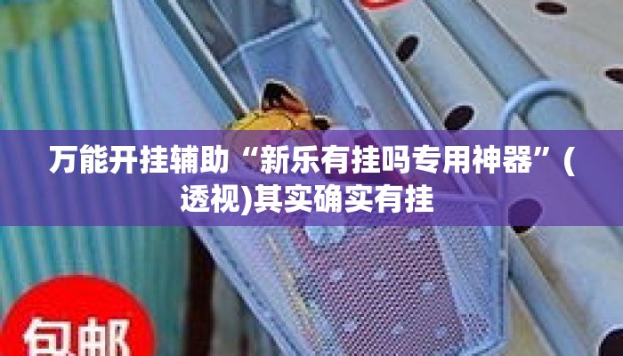 万能开挂辅助“新乐有挂吗专用神器”(透视)其实确实有挂 