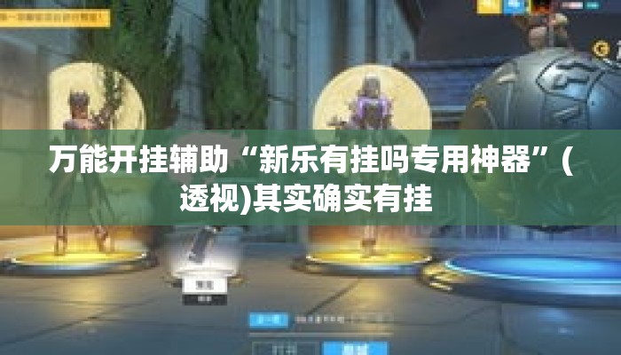 万能开挂辅助“新乐有挂吗专用神器	”(透视)其实确实有挂 