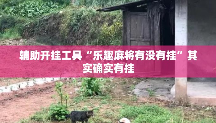 辅助开挂工具“乐趣麻将有没有挂”其实确实有挂