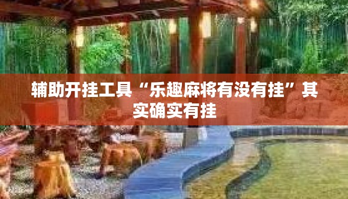 辅助开挂工具“乐趣麻将有没有挂”其实确实有挂