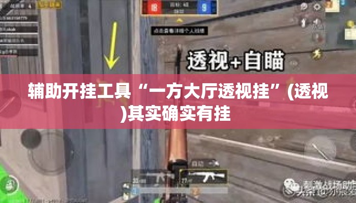 辅助开挂工具“一方大厅透视挂	”(透视)其实确实有挂 