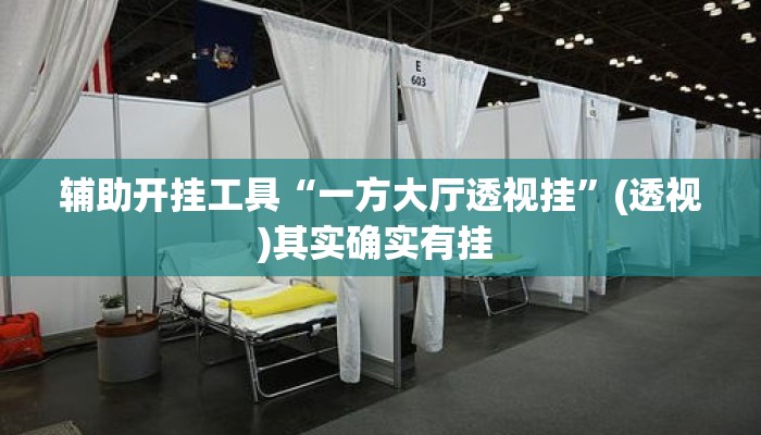 辅助开挂工具“一方大厅透视挂”(透视)其实确实有挂 