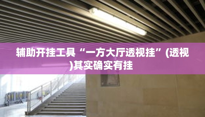 辅助开挂工具“一方大厅透视挂”(透视)其实确实有挂 