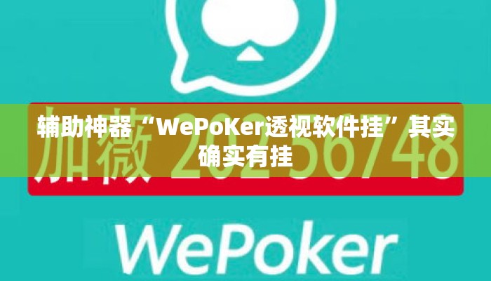 辅助神器“WePoKer透视软件挂”其实确实有挂