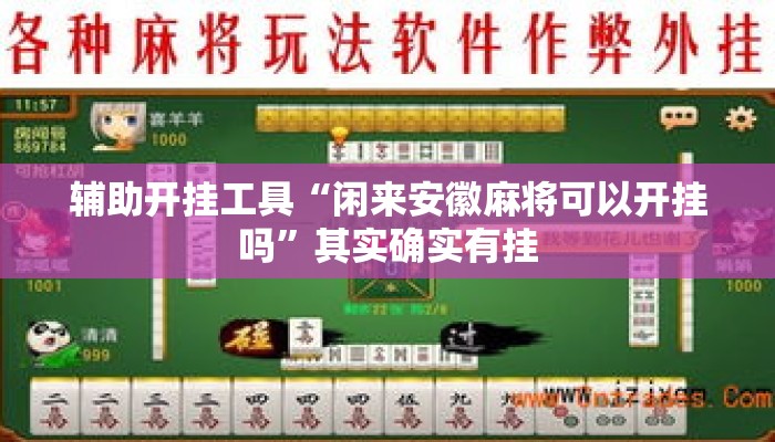 辅助开挂工具“闲来安徽麻将可以开挂吗”其实确实有挂