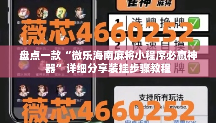 盘点一款“微乐海南麻将小程序必赢神器”详细分享装挂步骤教程