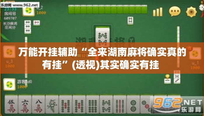 万能开挂辅助“全来湖南麻将确实真的有挂”(透视)其实确实有挂 