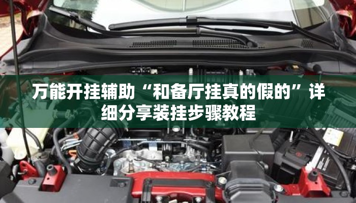 万能开挂辅助“和备厅挂真的假的”详细分享装挂步骤教程