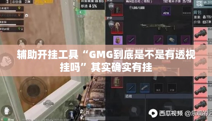 辅助开挂工具“GMG到底是不是有透视挂吗	”其实确实有挂