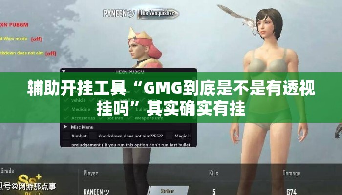 辅助开挂工具“GMG到底是不是有透视挂吗”其实确实有挂