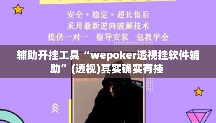 辅助开挂工具“wepoker透视挂软件辅助”(透视)其实确实有挂 