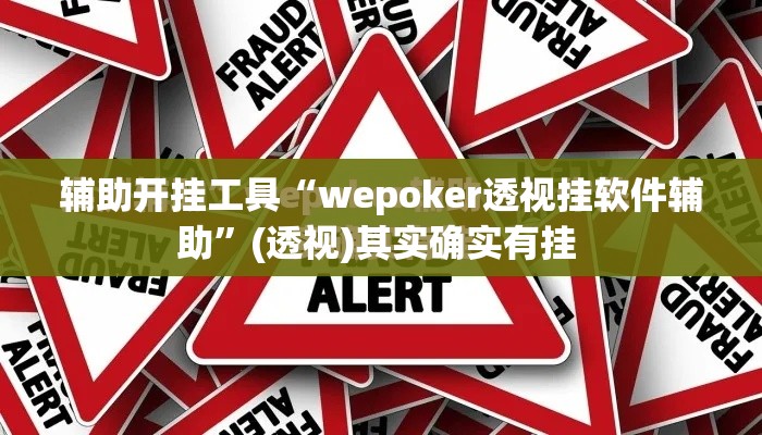 辅助开挂工具“wepoker透视挂软件辅助”(透视)其实确实有挂 