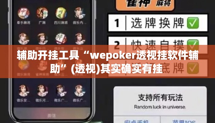 辅助开挂工具“wepoker透视挂软件辅助”(透视)其实确实有挂 