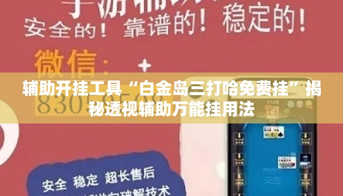 辅助开挂工具“白金岛三打哈免费挂”揭秘透视辅助万能挂用法
