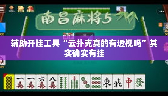 辅助开挂工具“云扑克真的有透视吗”其实确实有挂