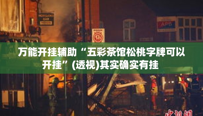 万能开挂辅助“五彩茶馆松桃字牌可以开挂	”(透视)其实确实有挂 