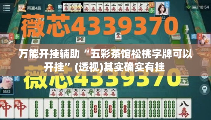 万能开挂辅助“五彩茶馆松桃字牌可以开挂”(透视)其实确实有挂 