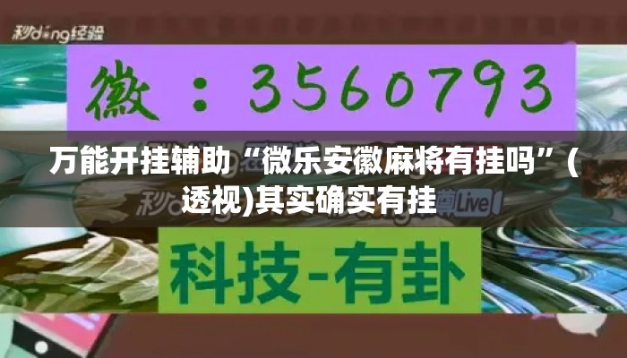 万能开挂辅助“微乐安徽麻将有挂吗”(透视)其实确实有挂 