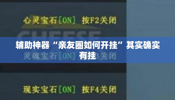 辅助神器“亲友圈如何开挂”其实确实有挂