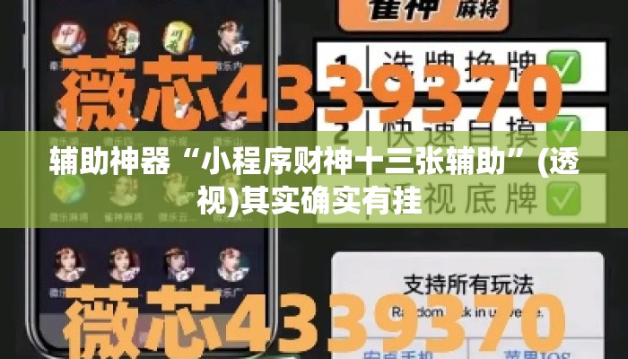 辅助神器“小程序财神十三张辅助	”(透视)其实确实有挂 