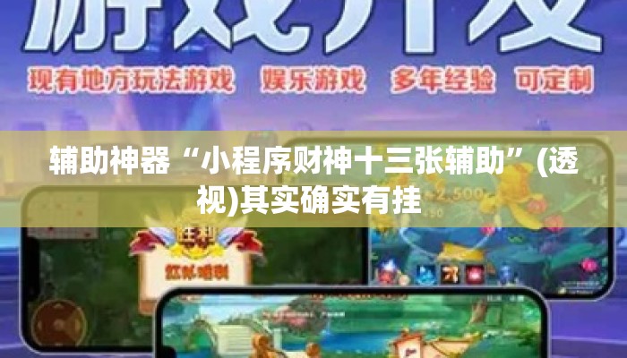 辅助神器“小程序财神十三张辅助”(透视)其实确实有挂 
