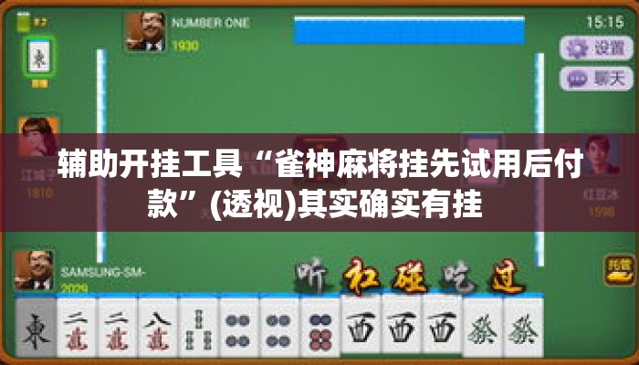 辅助开挂工具“雀神麻将挂先试用后付款”(透视)其实确实有挂 