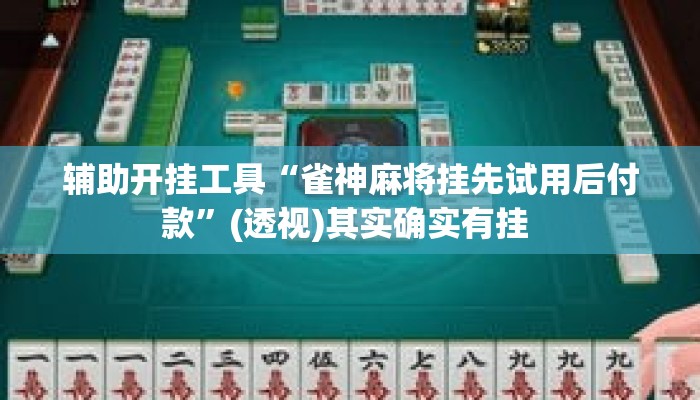辅助开挂工具“雀神麻将挂先试用后付款”(透视)其实确实有挂 