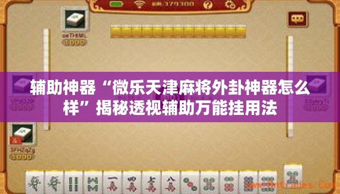 辅助神器“微乐天津麻将外卦神器怎么样”揭秘透视辅助万能挂用法