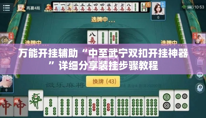 万能开挂辅助“中至武宁双扣开挂神器”详细分享装挂步骤教程