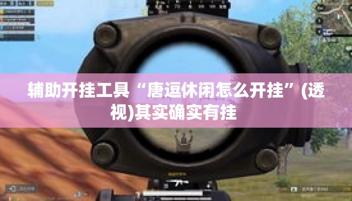 辅助开挂工具“唐逗休闲怎么开挂”(透视)其实确实有挂 