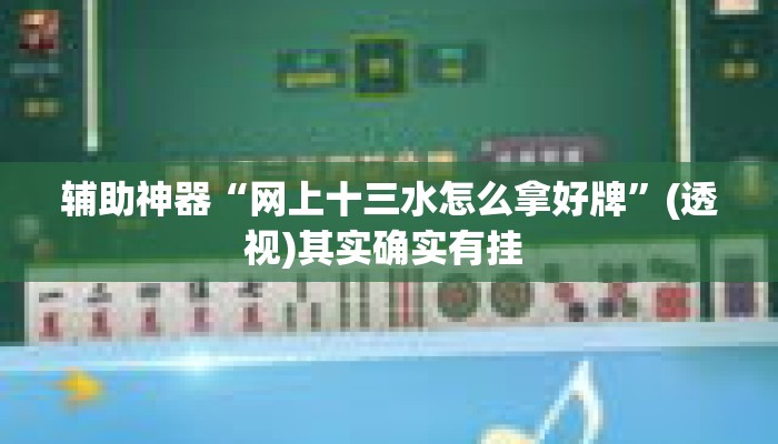辅助神器“网上十三水怎么拿好牌”(透视)其实确实有挂 