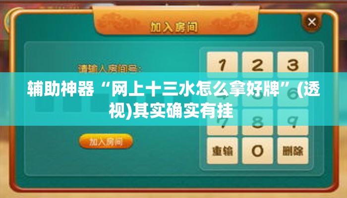 辅助神器“网上十三水怎么拿好牌”(透视)其实确实有挂 