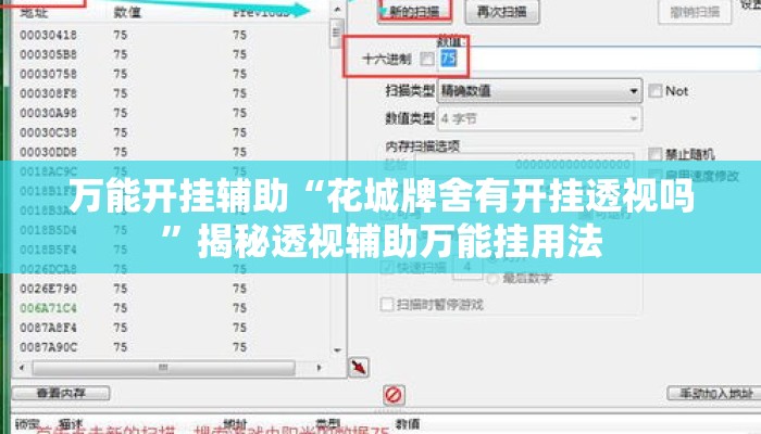 万能开挂辅助“花城牌舍有开挂透视吗	”揭秘透视辅助万能挂用法