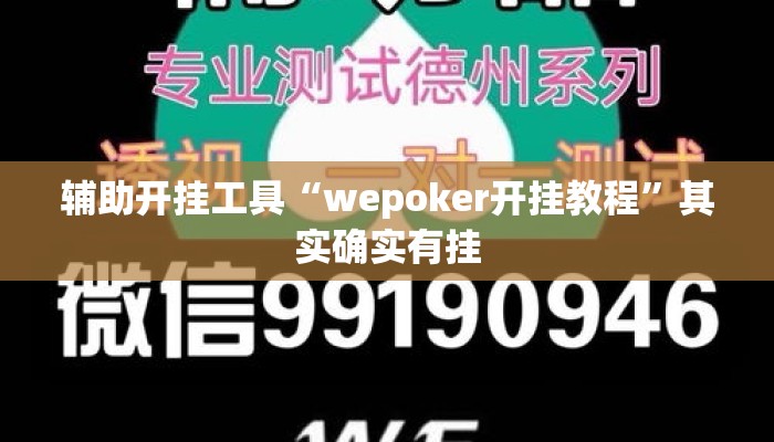 辅助开挂工具“wepoker开挂教程”其实确实有挂