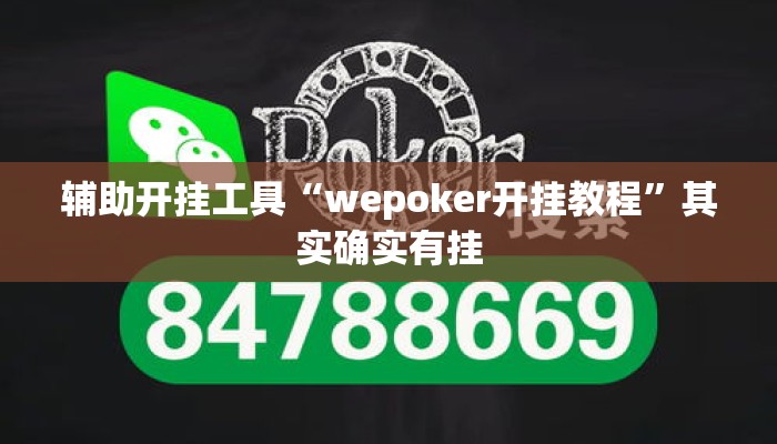 辅助开挂工具“wepoker开挂教程”其实确实有挂