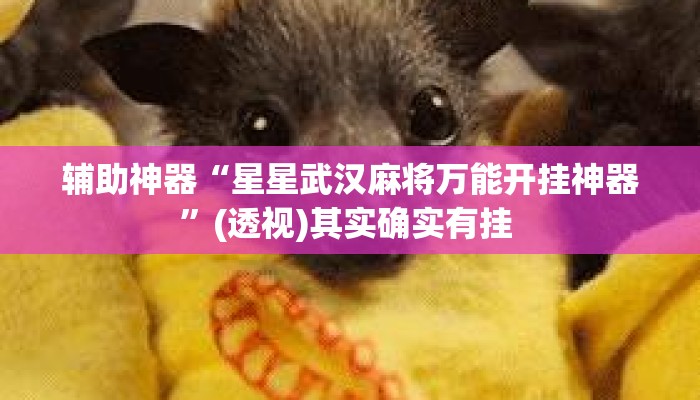辅助神器“星星武汉麻将万能开挂神器”(透视)其实确实有挂 