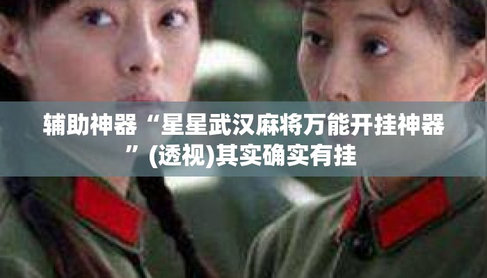辅助神器“星星武汉麻将万能开挂神器	”(透视)其实确实有挂 