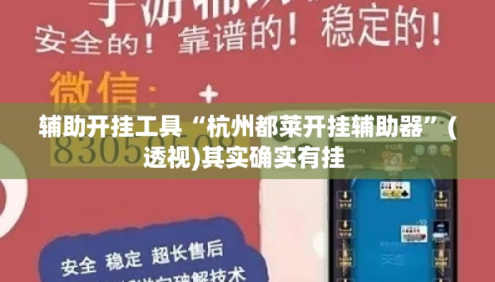 辅助开挂工具“杭州都莱开挂辅助器”(透视)其实确实有挂 