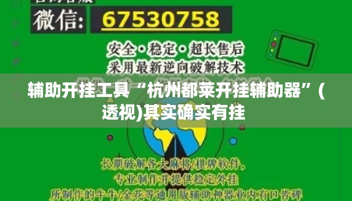 辅助开挂工具“杭州都莱开挂辅助器	”(透视)其实确实有挂 