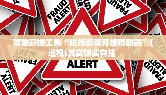 辅助开挂工具“杭州都莱开挂辅助器”(透视)其实确实有挂 