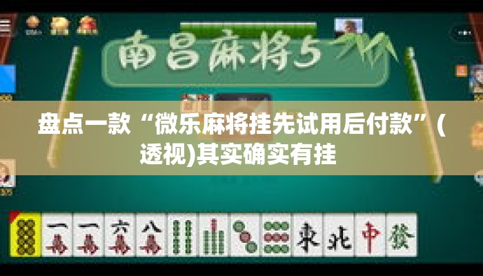 盘点一款“微乐麻将挂先试用后付款	”(透视)其实确实有挂 