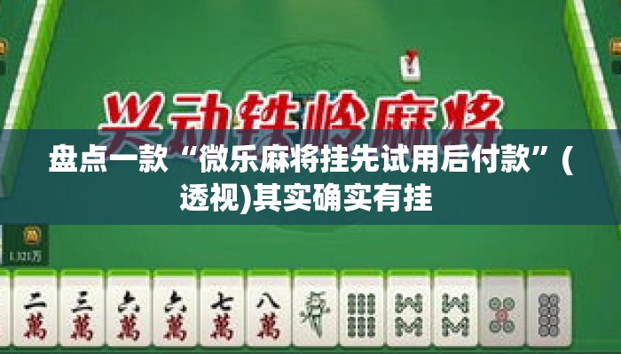 盘点一款“微乐麻将挂先试用后付款”(透视)其实确实有挂 