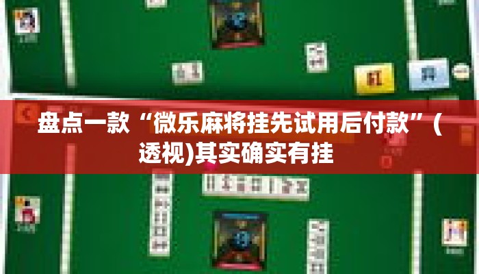 盘点一款“微乐麻将挂先试用后付款	”(透视)其实确实有挂 