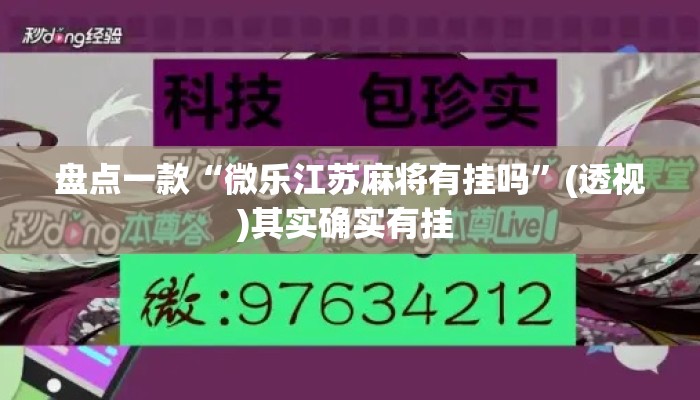 盘点一款“微乐江苏麻将有挂吗”(透视)其实确实有挂 