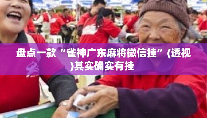 盘点一款“雀神广东麻将微信挂	”(透视)其实确实有挂 