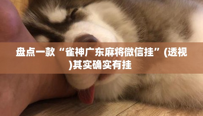 盘点一款“雀神广东麻将微信挂”(透视)其实确实有挂 